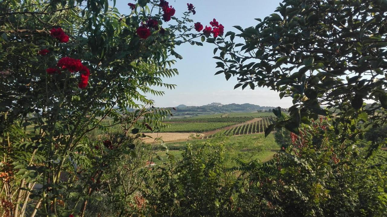 Agriturismo La Chiesina Abbadia di Montepulciano المظهر الخارجي الصورة