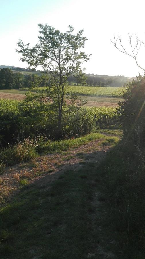 Agriturismo La Chiesina Abbadia di Montepulciano المظهر الخارجي الصورة