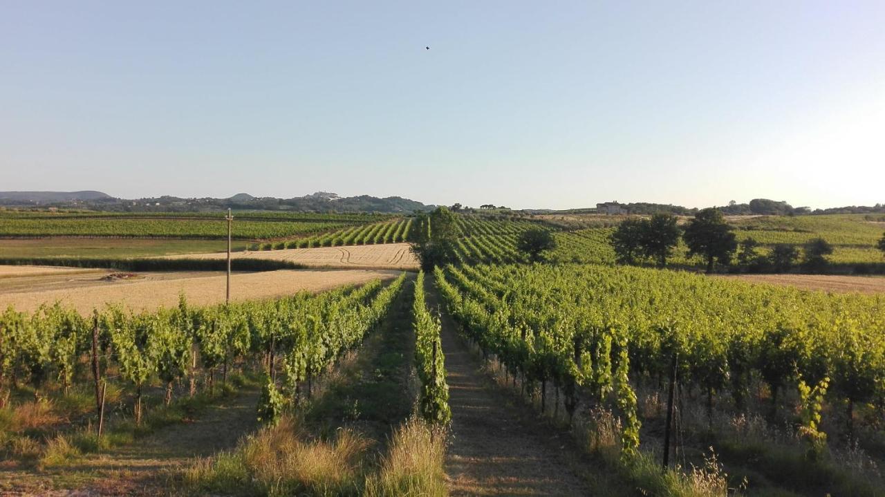 Agriturismo La Chiesina Abbadia di Montepulciano المظهر الخارجي الصورة